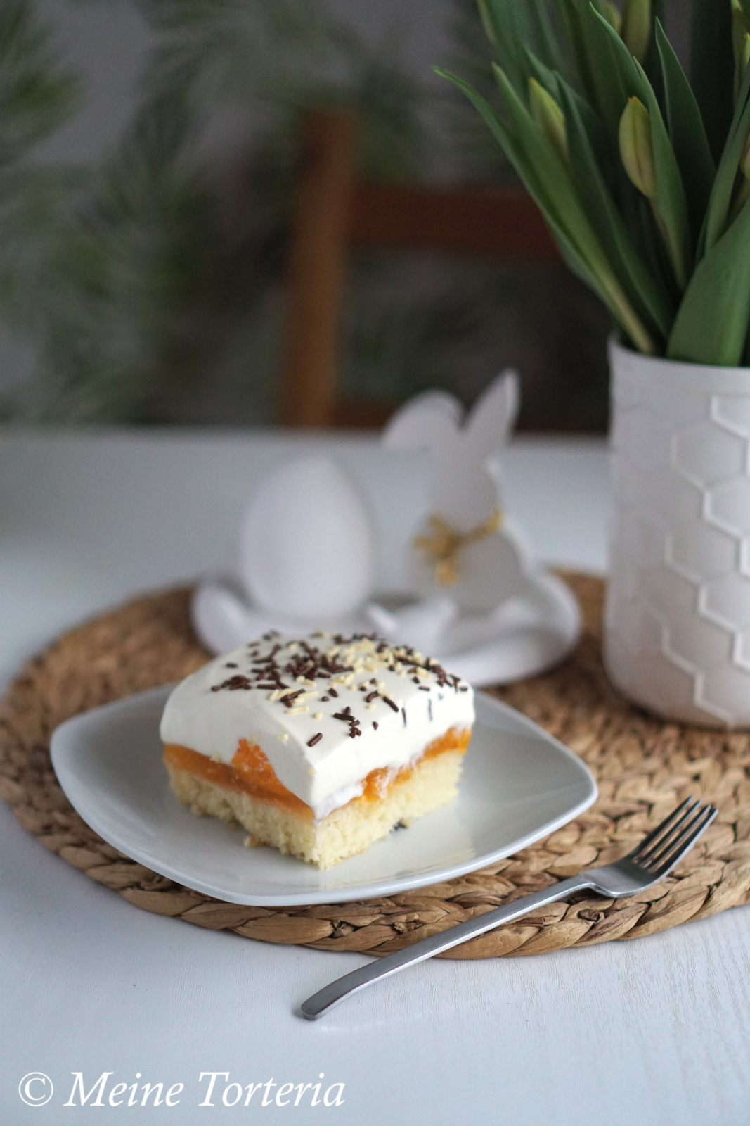 Mandarinen-Schmand-Kuchen für die Schwester - Meine Torteria